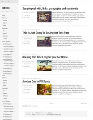 Editor Responsive Blogger Template [ blogspot themes ]