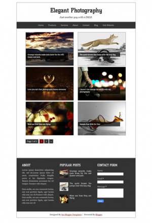 Elegant Photography Blogger Template [ blogspot themes ]