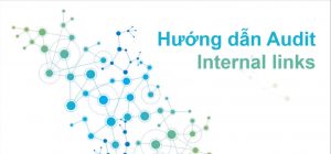 Hướng Dẫn Audit Internal Links